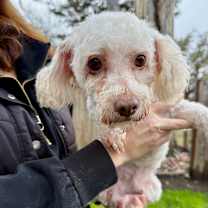 Thumbnail photo of Kevin #1