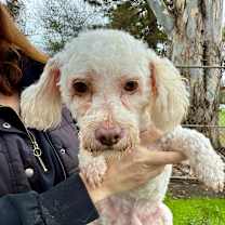 Thumbnail photo of Kevin #2