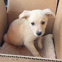 Thumbnail photo of Martha #1