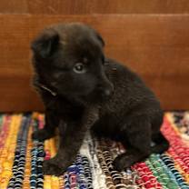 Thumbnail photo of Gloria #3