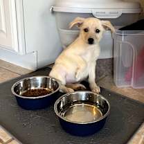 Thumbnail photo of Martha #4