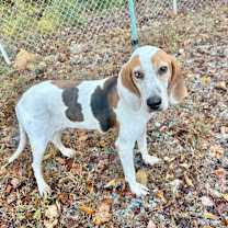 Thumbnail photo of Roadie #1