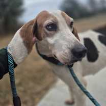 Thumbnail photo of Roadie #2