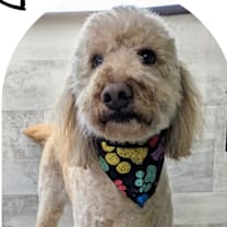 Thumbnail photo of Sammy #2