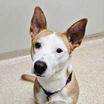 Thumbnail photo of Rubble #1