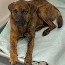 Thumbnail photo of Cisco #1