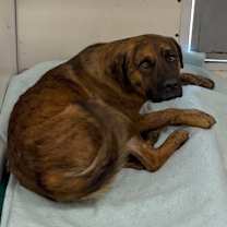 Thumbnail photo of Cisco #2