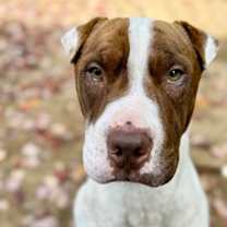 Thumbnail photo of Wells #2