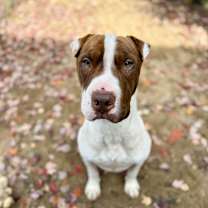 Thumbnail photo of Wells #3