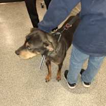 Thumbnail photo of Tank #1