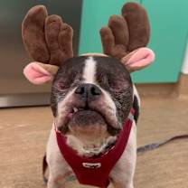 Thumbnail photo of Mai Tai 13031 #1