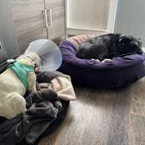 Thumbnail photo of Mai Tai 13031 #4