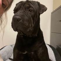 Thumbnail photo of Jack #3