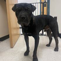 Thumbnail photo of Jack #4