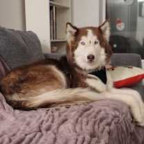 Thumbnail photo of Kayzo #4