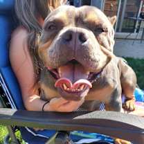 Thumbnail photo of Coco #2