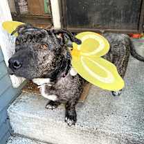 Thumbnail photo of Frannie #3