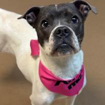 Thumbnail photo of Marble #1