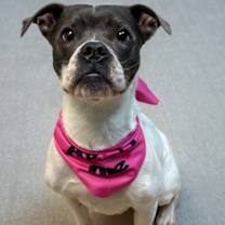 Thumbnail photo of Marble #2