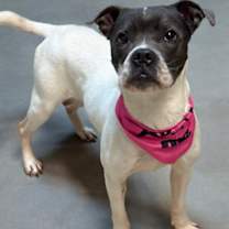 Thumbnail photo of Marble #3