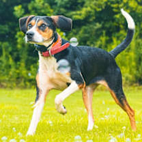 Thumbnail photo of Kiki #1