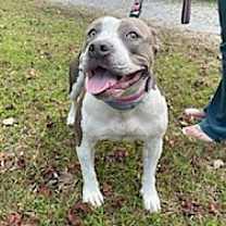 Thumbnail photo of Ducky #4