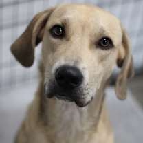 Thumbnail photo of Max #1