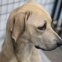 Thumbnail photo of Max #2