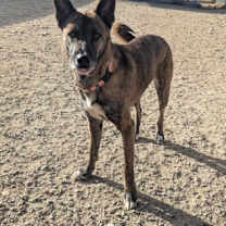 Thumbnail photo of Ty #1