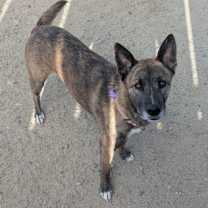 Thumbnail photo of Ty #2