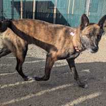 Thumbnail photo of Ty #3