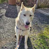 Thumbnail photo of Ghost #3