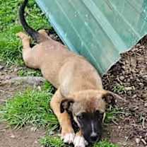 Thumbnail photo of Denim #2