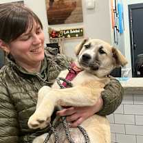 Thumbnail photo of Aspen #2