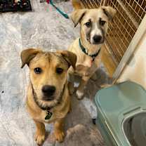 Thumbnail photo of Aspen #4