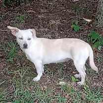 Thumbnail photo of Amy #2