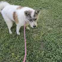 Thumbnail photo of Keyoko #2