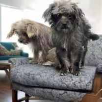 Thumbnail photo of Bubbles #3