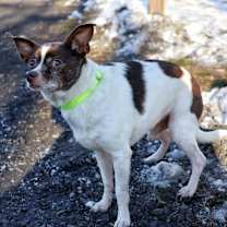 Thumbnail photo of Little Man #4