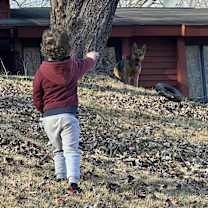 Thumbnail photo of Harley #3