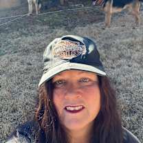 Thumbnail photo of Harley #4