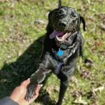 Thumbnail photo of Zeek #4