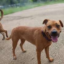 Thumbnail photo of Lois #4