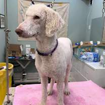 Thumbnail photo of Trudy #3