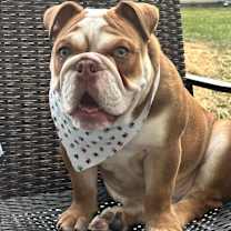 Thumbnail photo of Koby #4