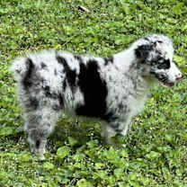 Thumbnail photo of Katie #3