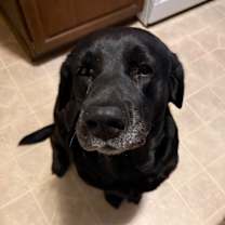 Thumbnail photo of Luca #1