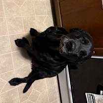 Thumbnail photo of Luca #2