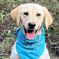 Thumbnail photo of Bruce #1