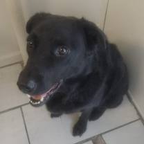 Thumbnail photo of Precious #1